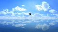 유 캔 플라이! / You Can Fly!